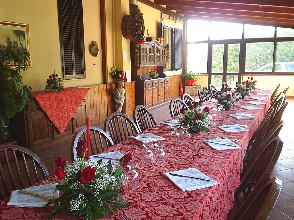Agriturismo Aurella 아셰아 외부 사진